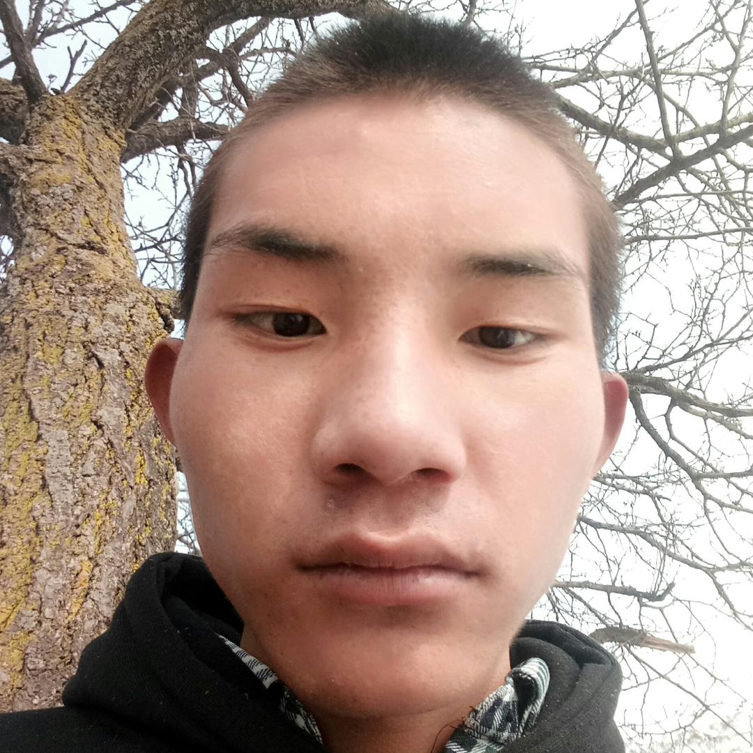@真龙天凤