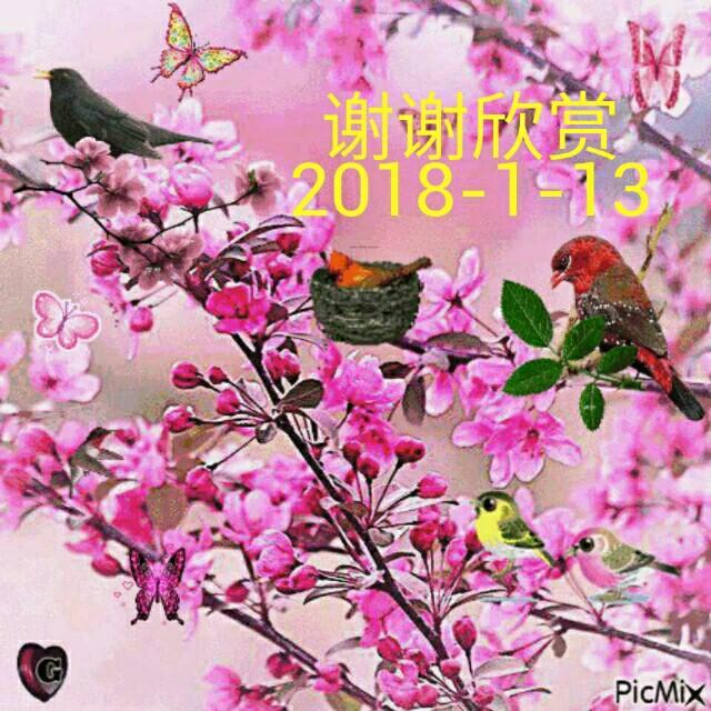 六零后🔥花好鲜艳