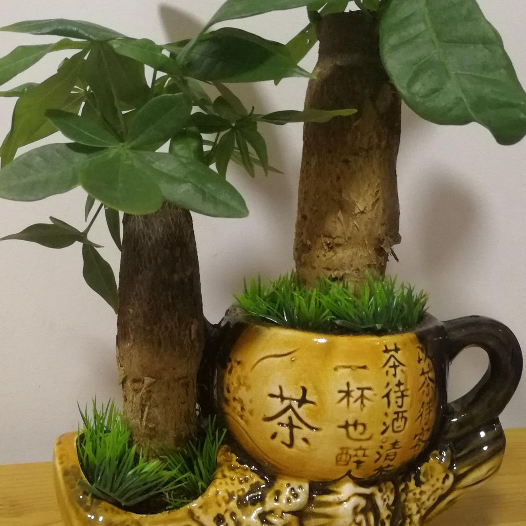 和家