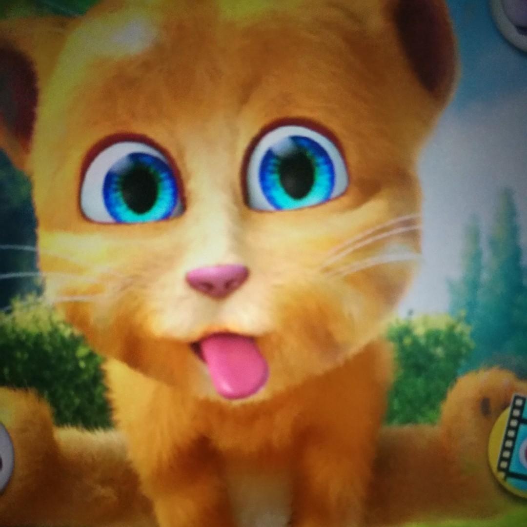 恶搞猫咪