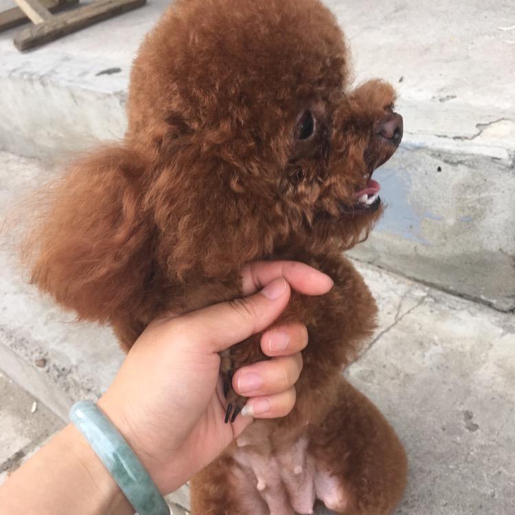 @小乖妞@