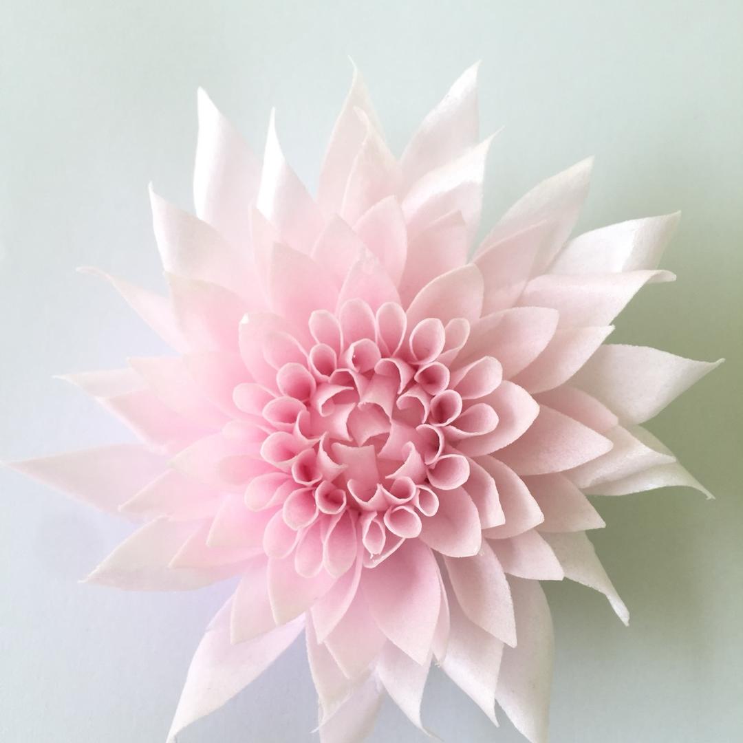 🌈那一抹彩虹🐠