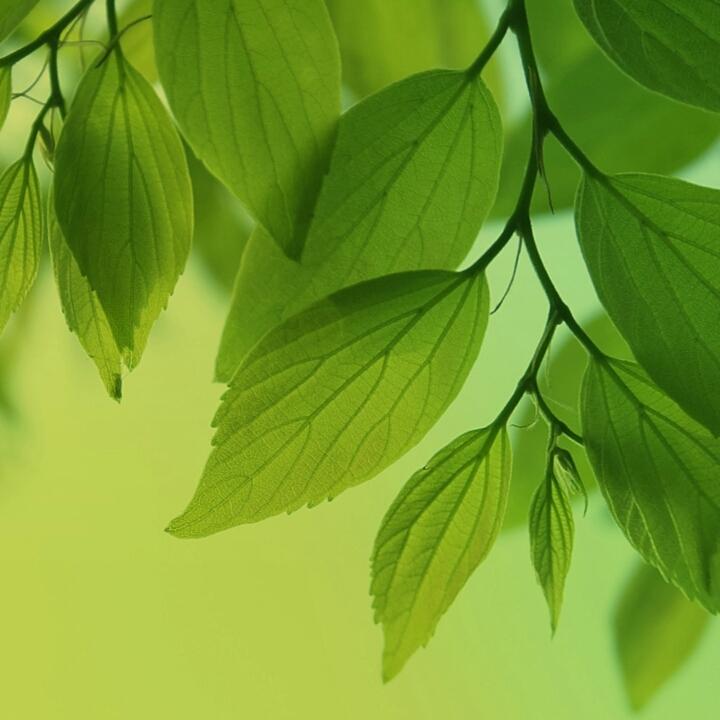 %坤哥%