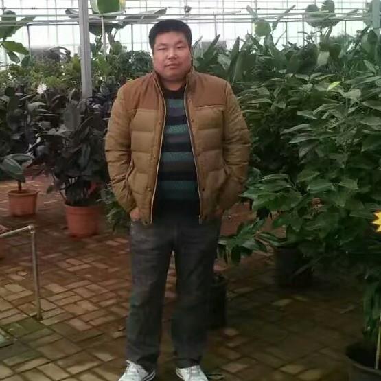 爱家辉煌