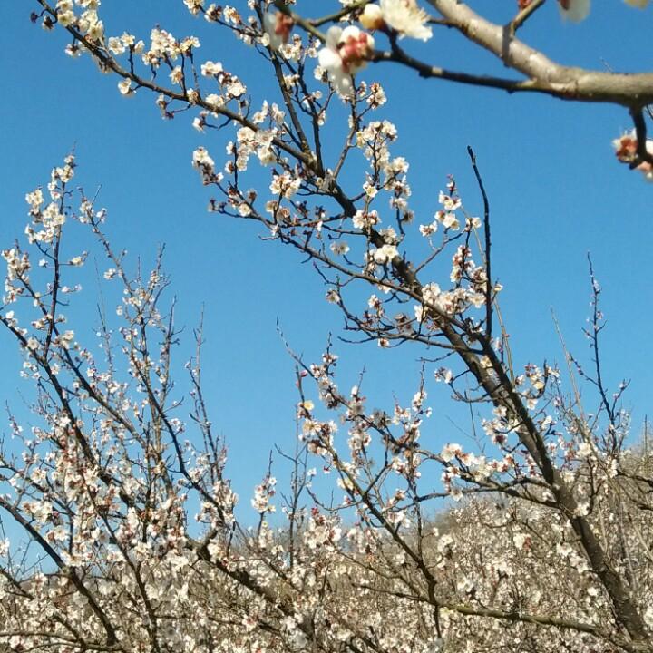 手机用户11142315040