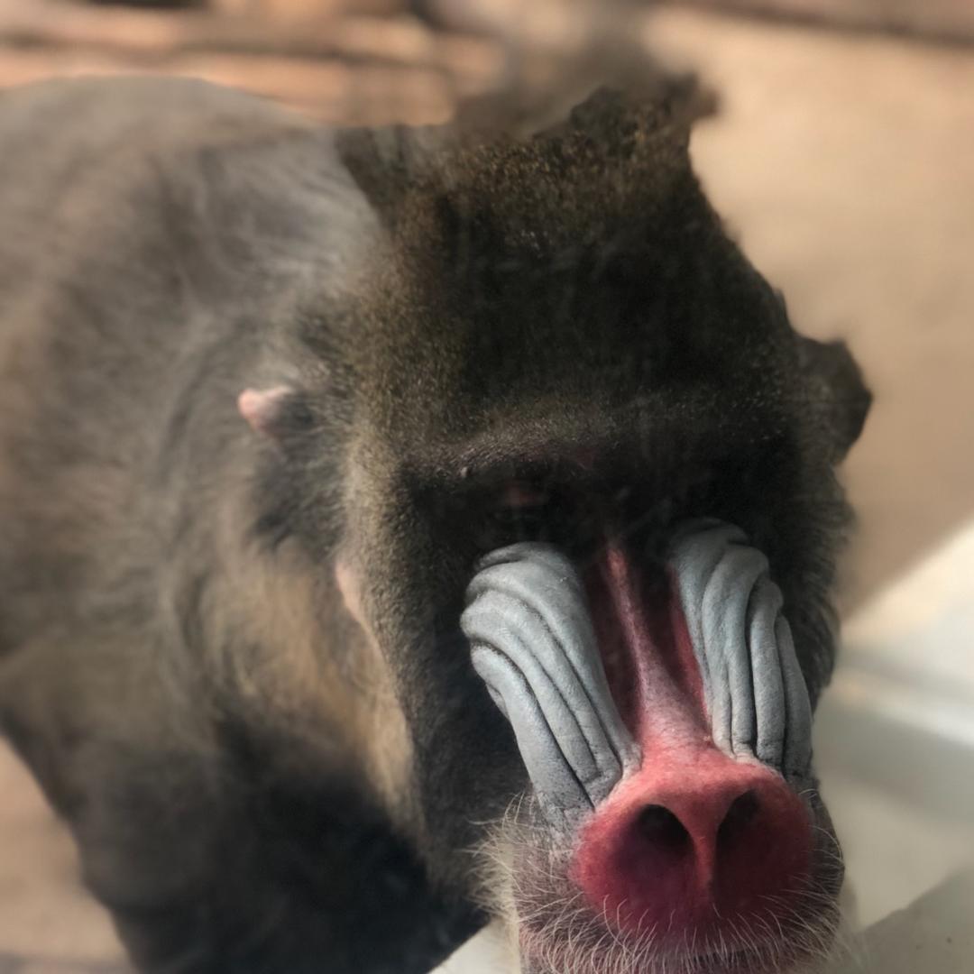 LLLLLY