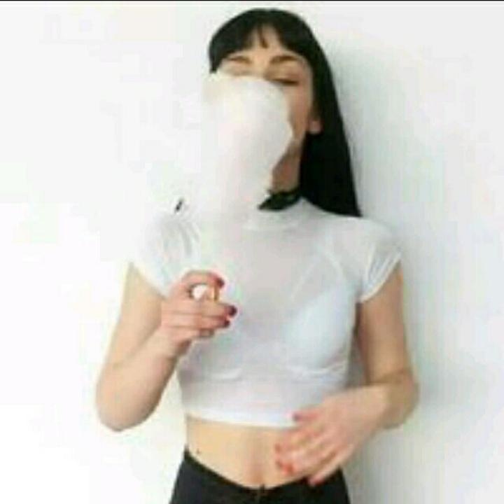 呆萌葵花籽