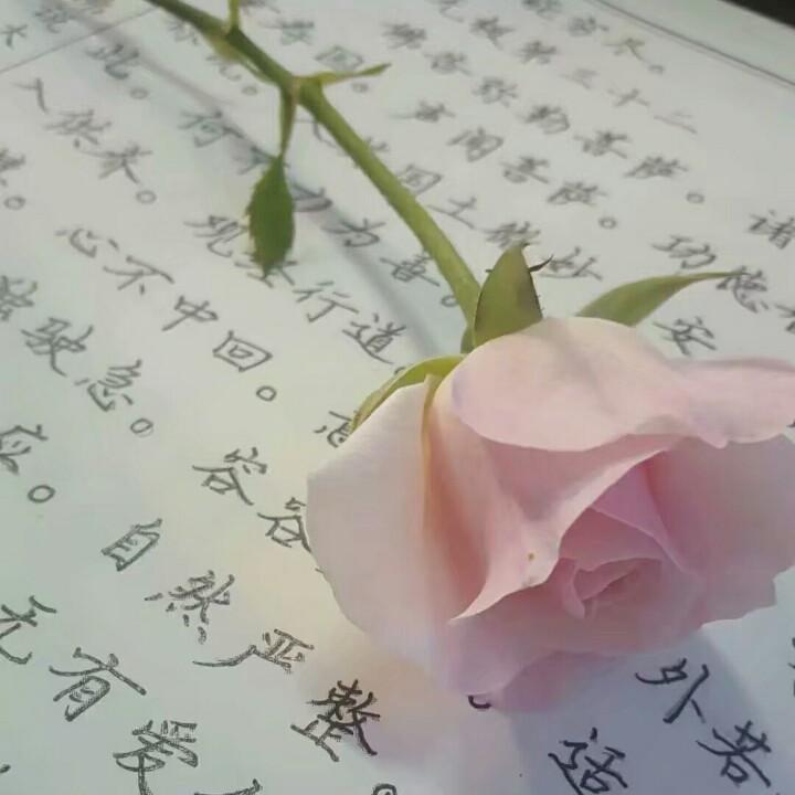 南南宝