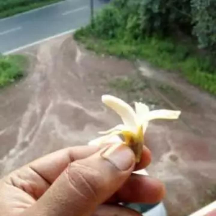 豫北驾校董教练