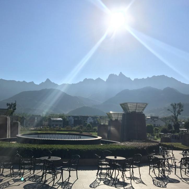 会跑步的鱼
