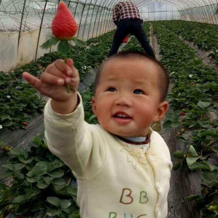 赖赖赖