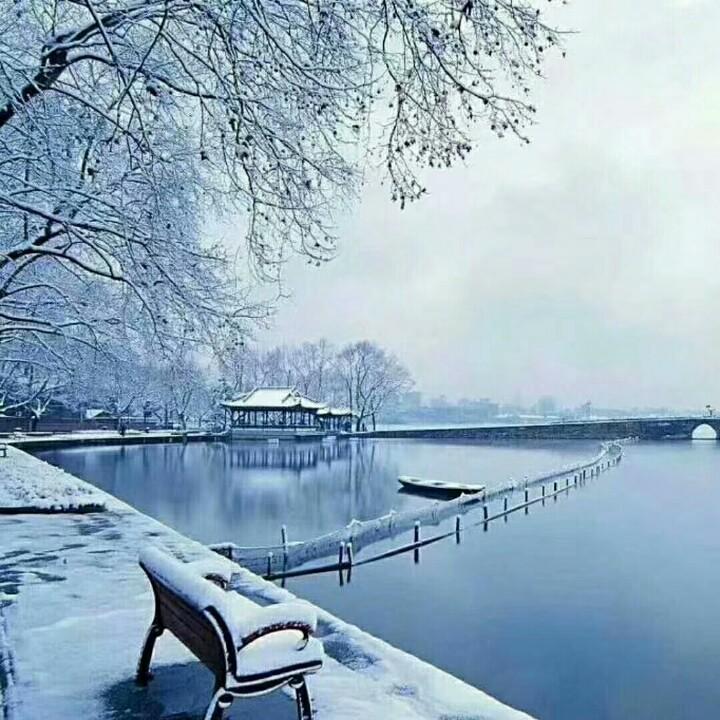 世界这么大，我想去看