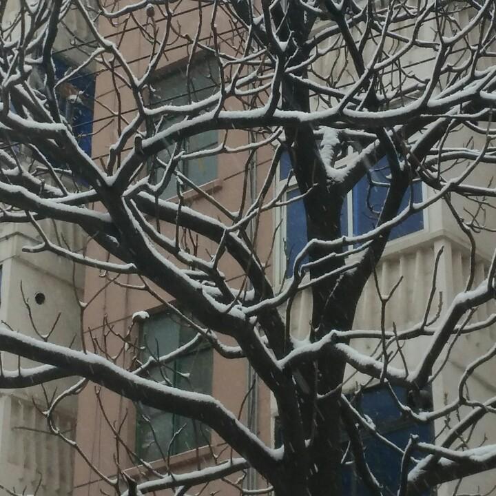 ໑ຼₒ₂₃ღ᭄宋你一碗周🦋꧔ꦿ