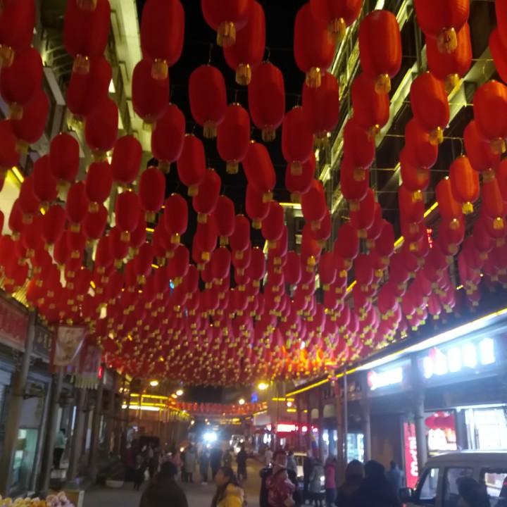 冬天的枫叶