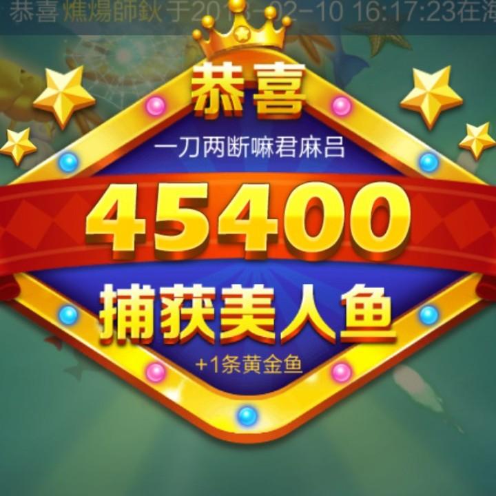 鸥哥在路上