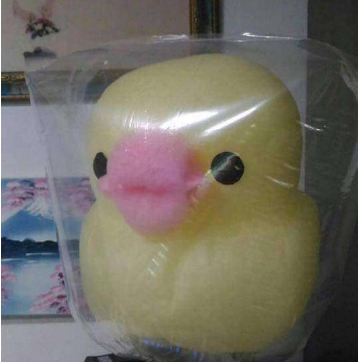 浮云只想听你说