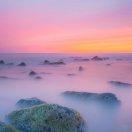 巽風收藏夹 路人L1