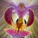 南粤防火门有限公司