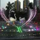 ╭(╯黔江🏃ε周╰哥)╮