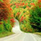 懂得爱家人🙏🙏🙏