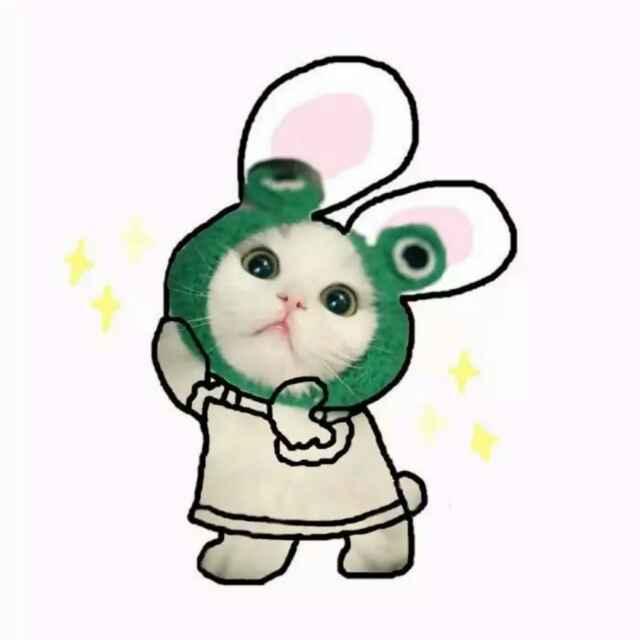 刘哈哈💕