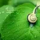 锦秀山河731（有关必回）