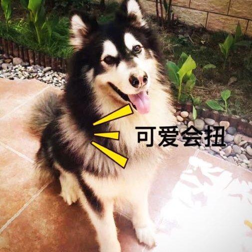 捏捏小小～jct