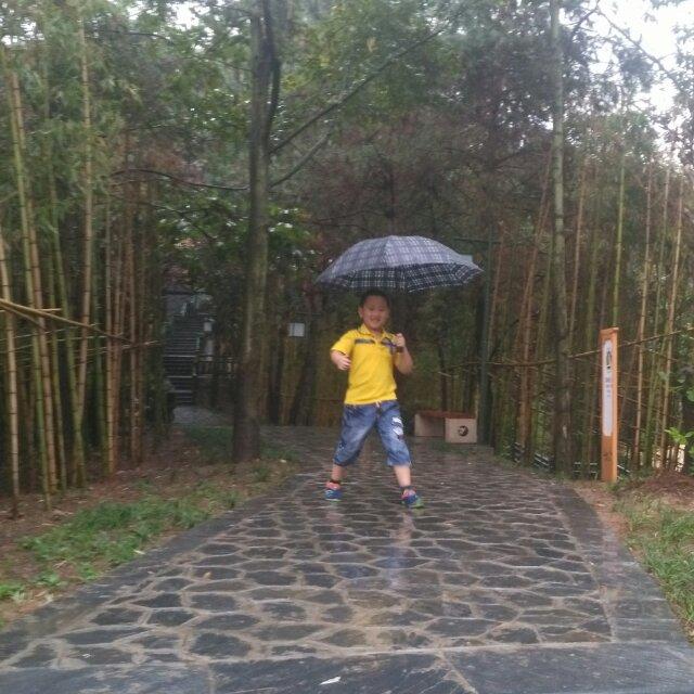 梦逍遥