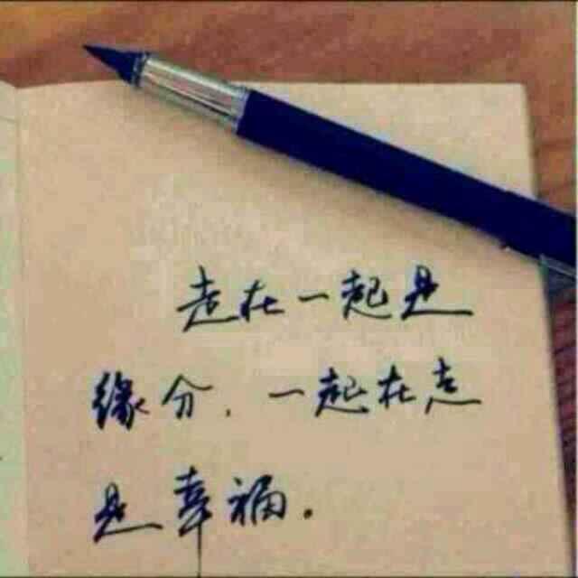 芯哥