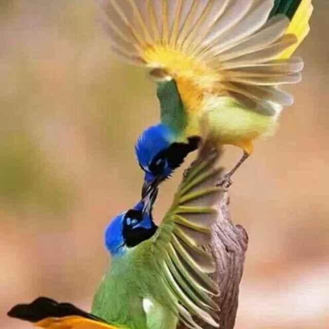 峰峰矿区三下锅的诱惑快餐店