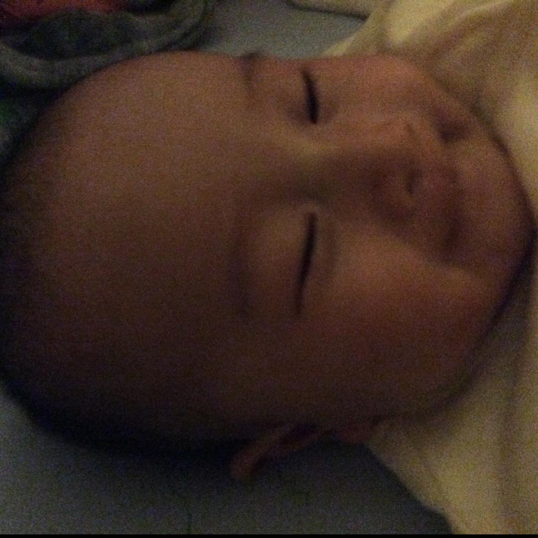 毅