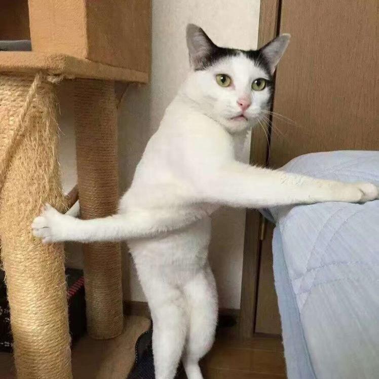 乔治大叔