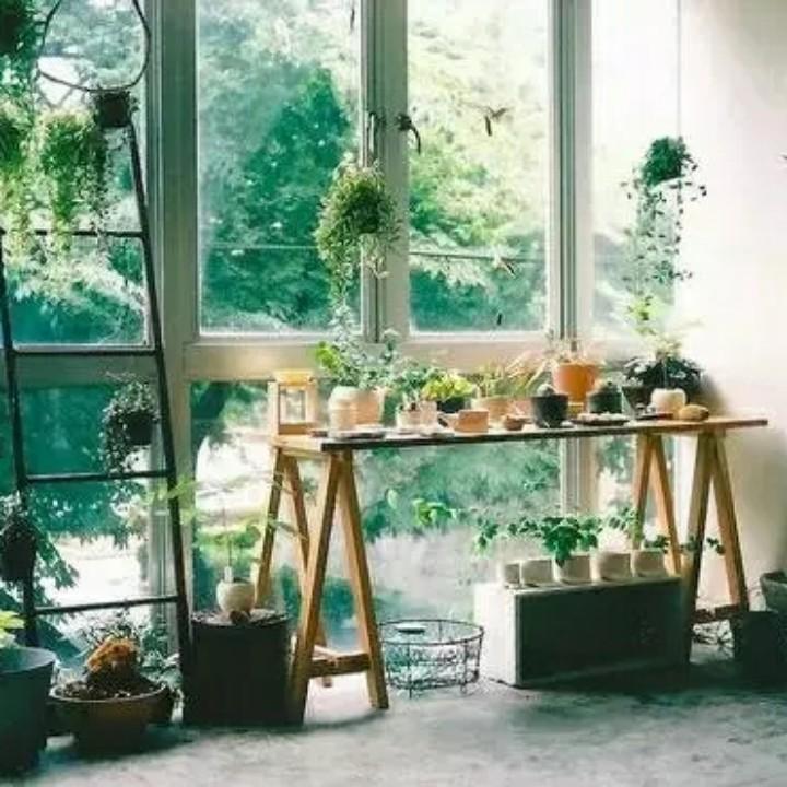 畅儿