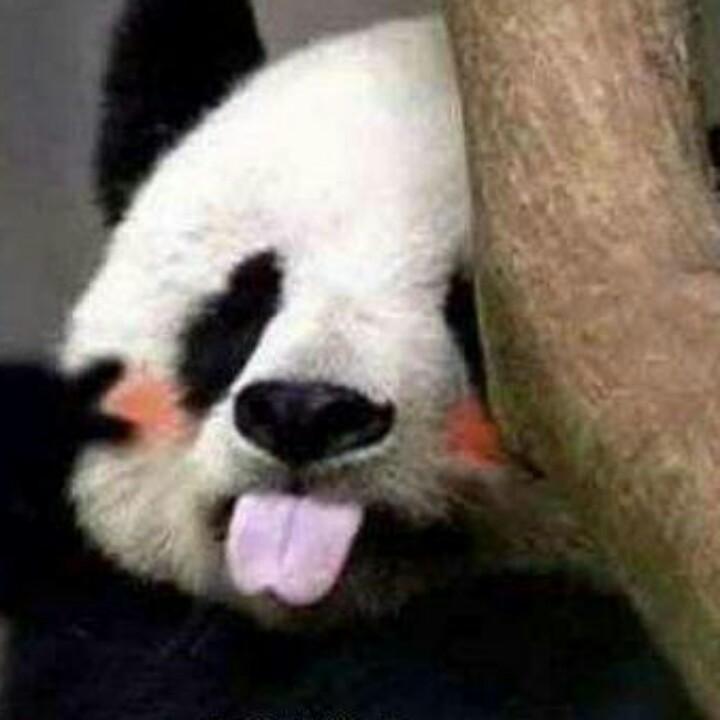 🐳- ̗̀(★^O^★)🐒