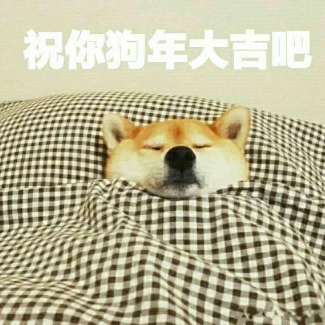 妮可
