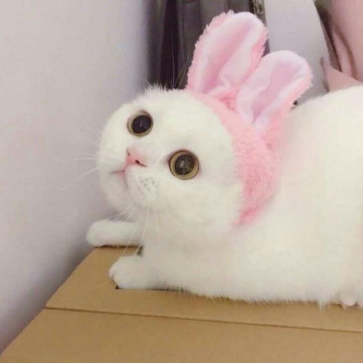 路漫漫