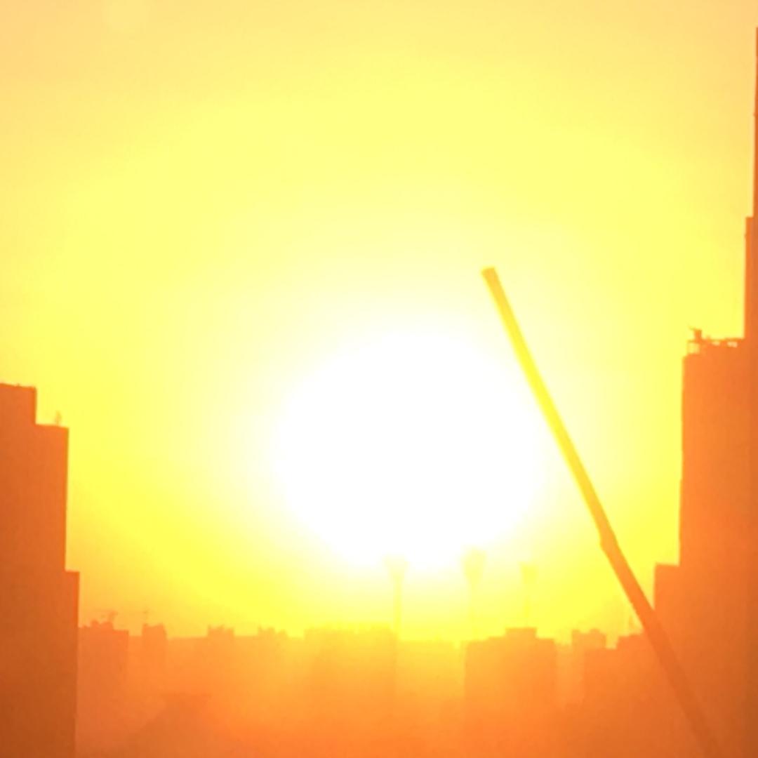 金乌