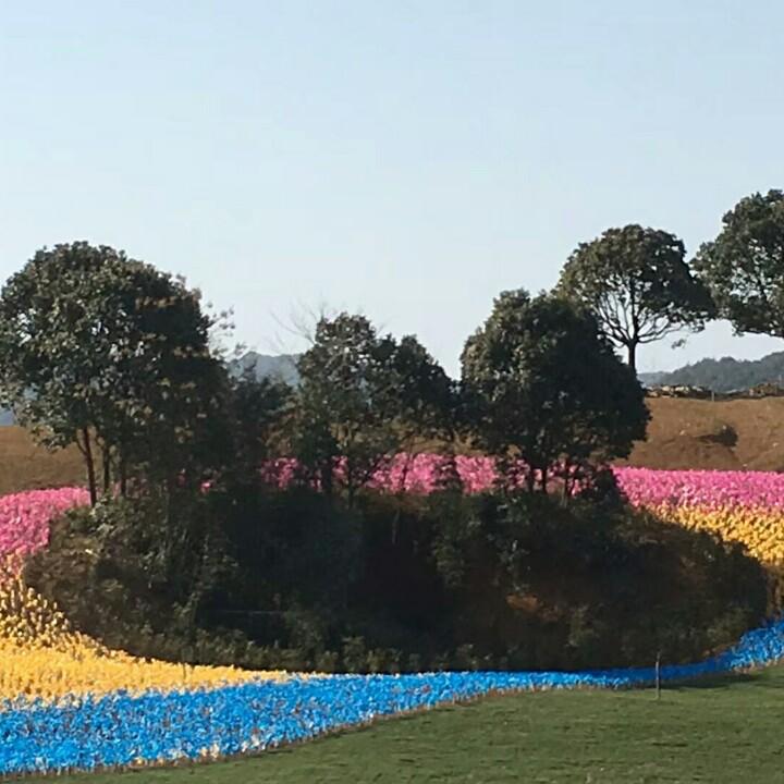 家有双凤