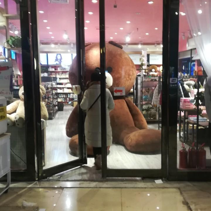 祎只可爱的小锦李
