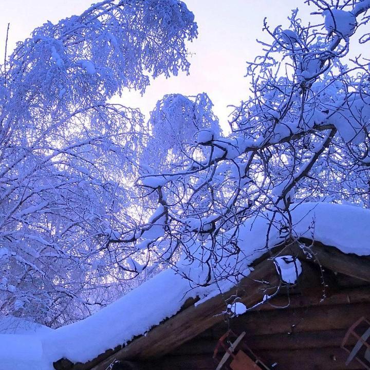 烨烨果实