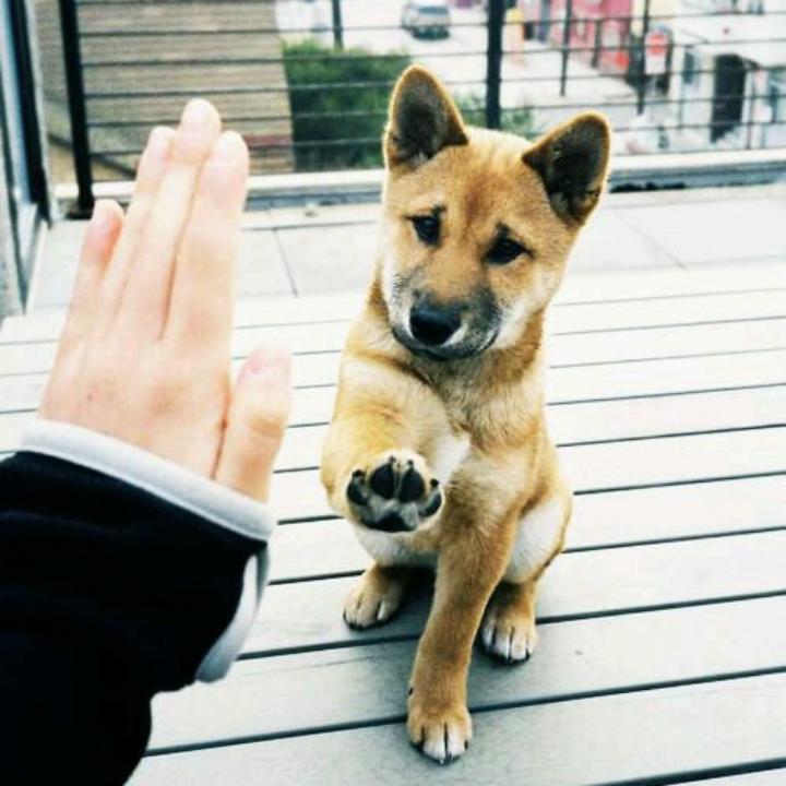 阿凯