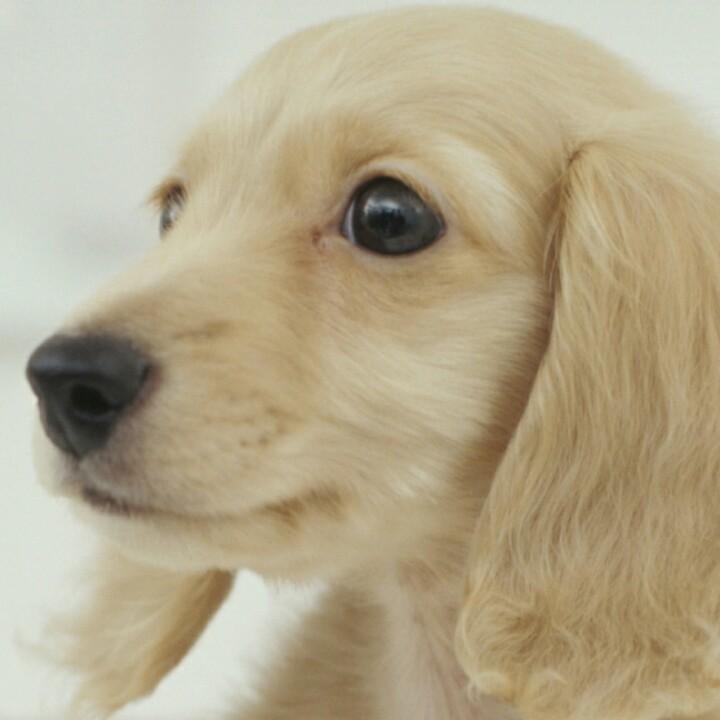 大脚丫子