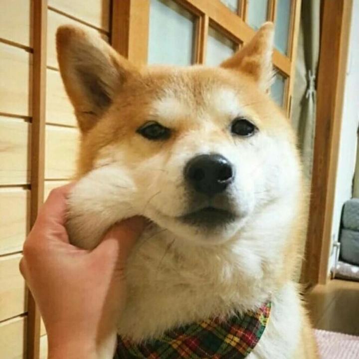 哇哦哦