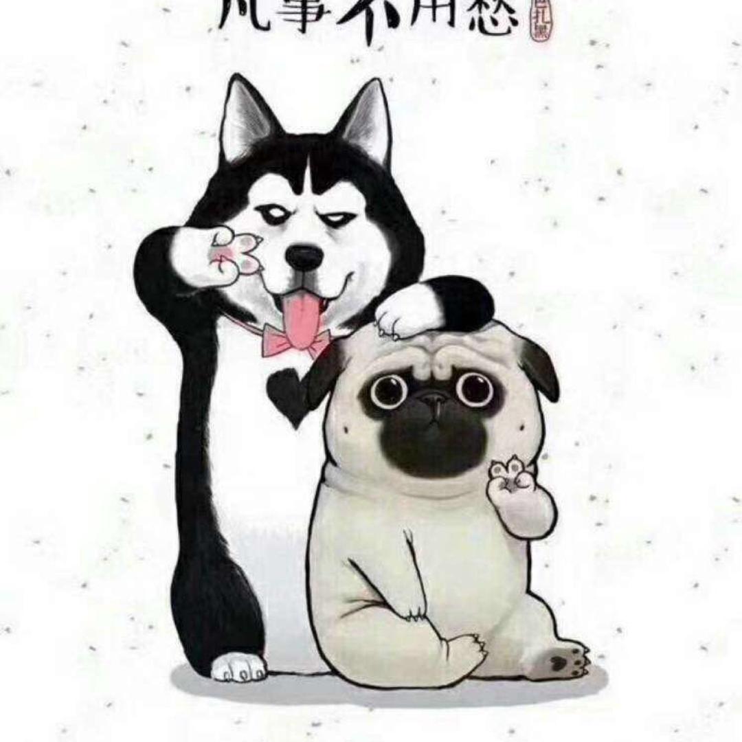 爱豆多丽