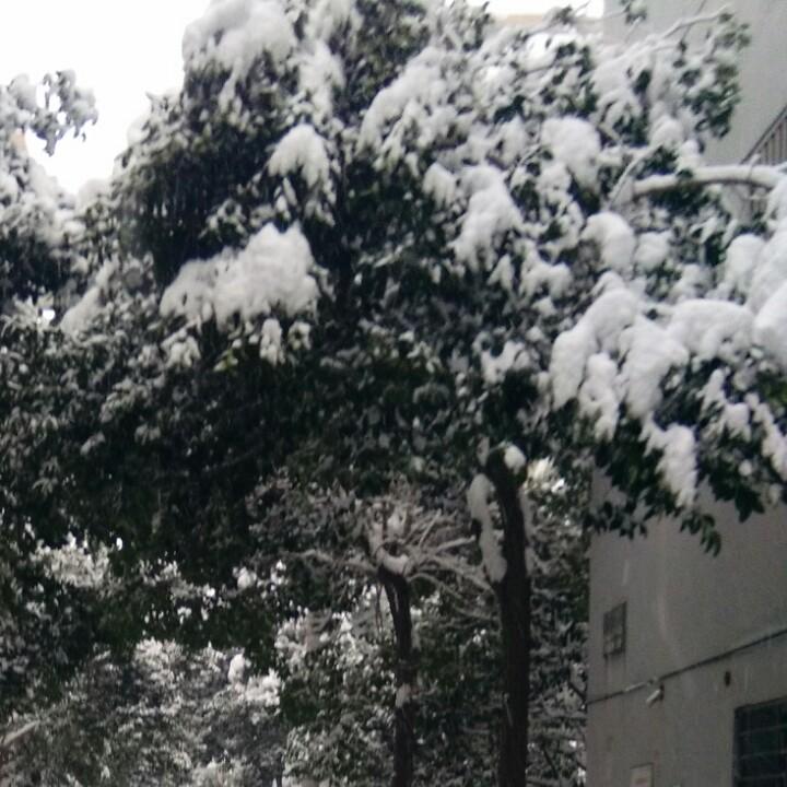 小来