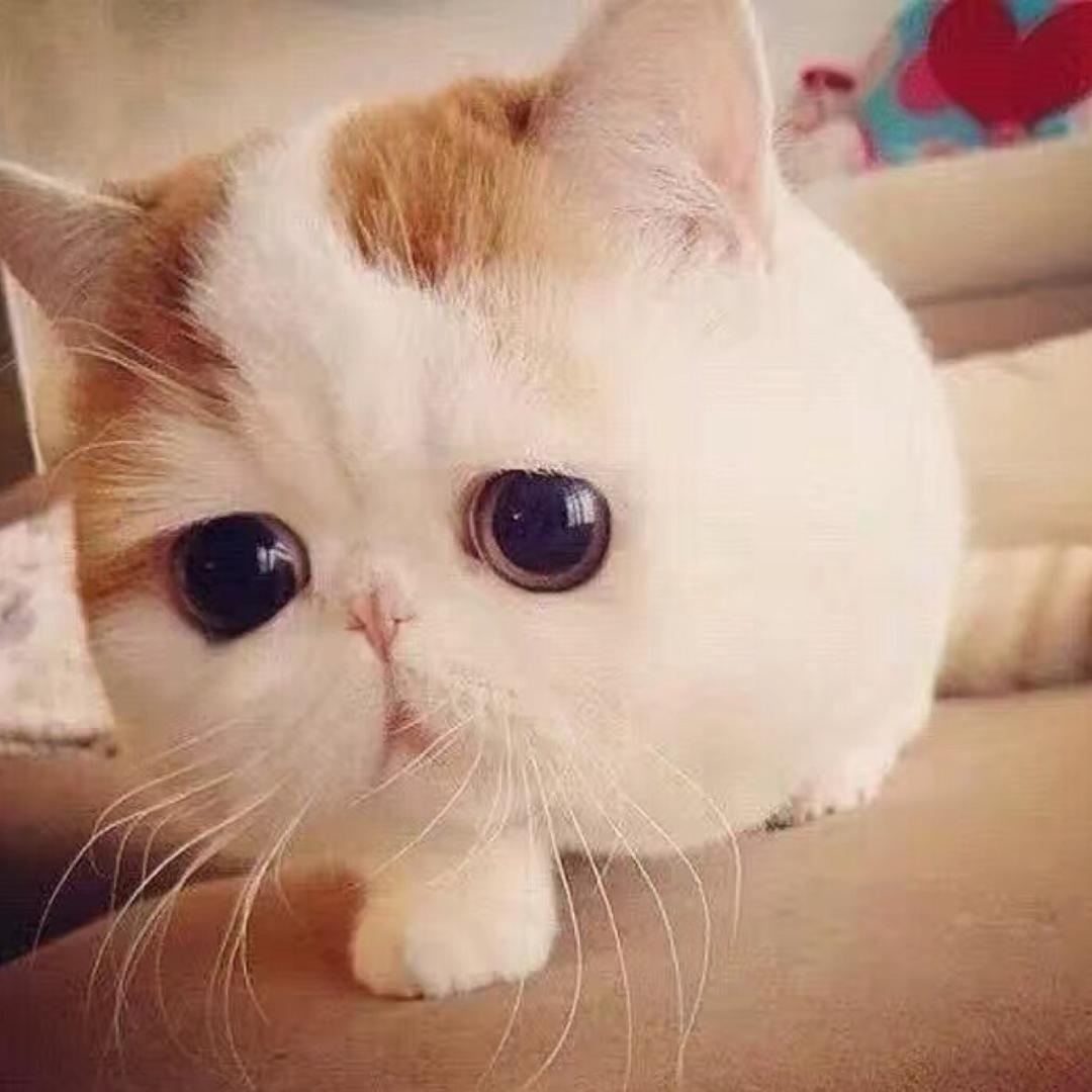 AMILRIS安米莉（蚌埠银泰百货店）