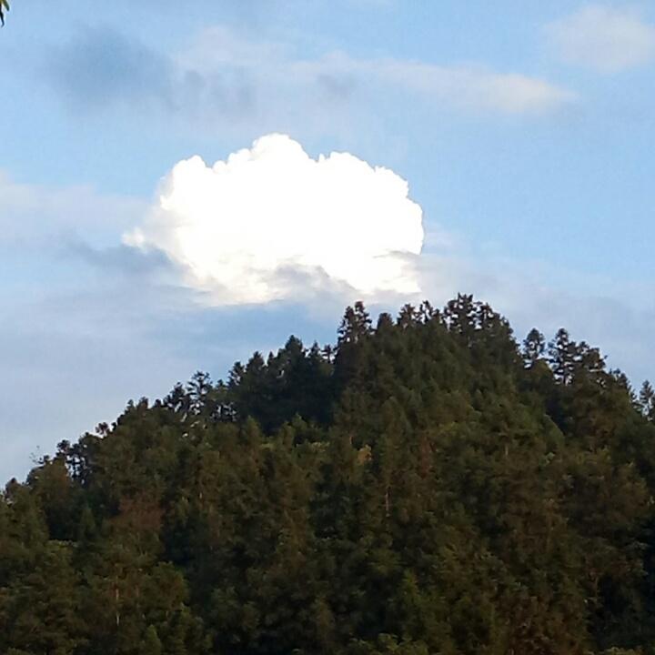 迷雾