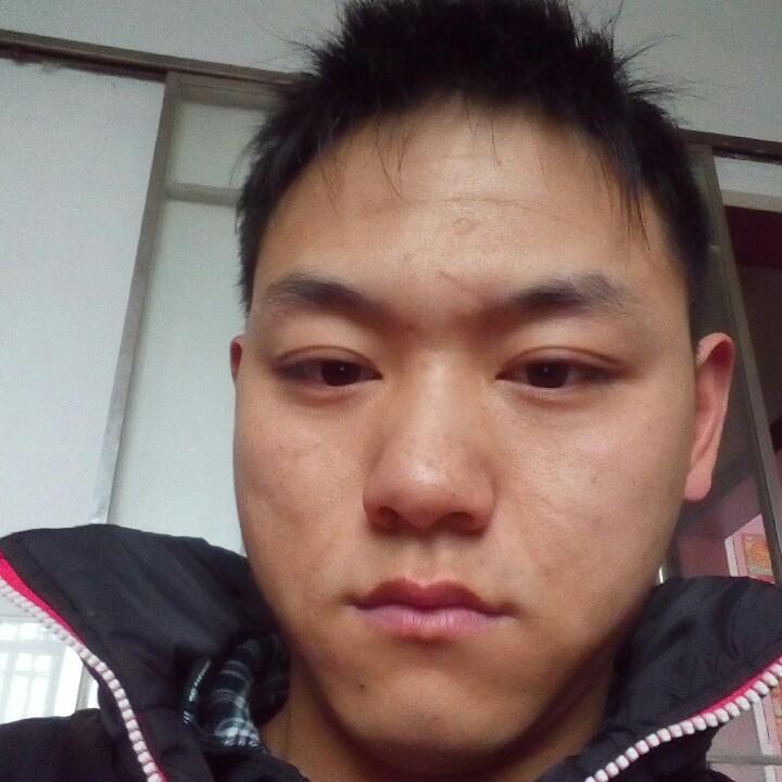 是不是