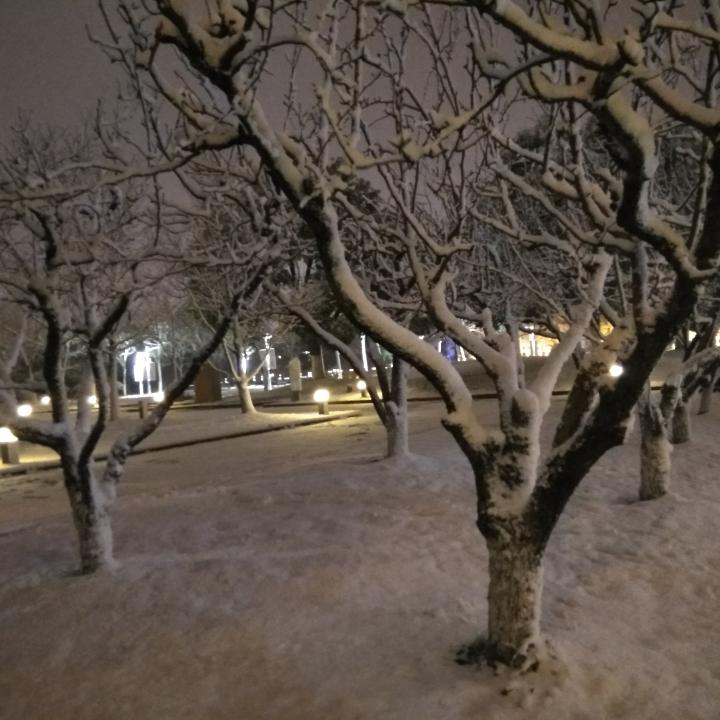 造船的番茄炒蛋