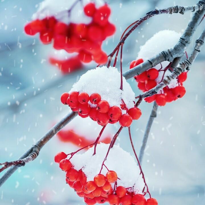 娜＆就是我